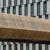 passerelle-cba-05--dvvd-luc-boegly